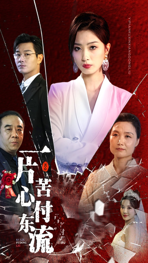 一片苦心付东流（80集）热门短剧推广