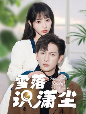 雪落识潇尘（80集）短剧热播抢先看