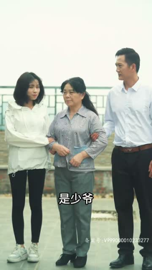 除恶务尽（83集）短剧完整版免费