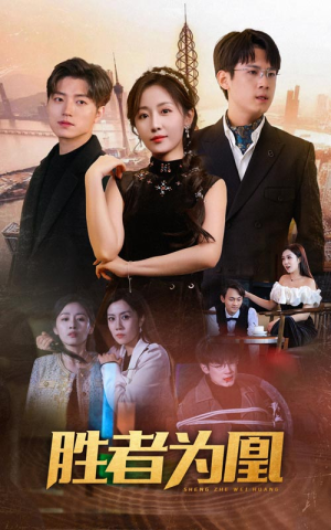 胜者为凰（89集）在哪看