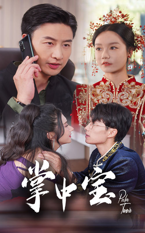 掌中宝（31集）夸克网盘观看