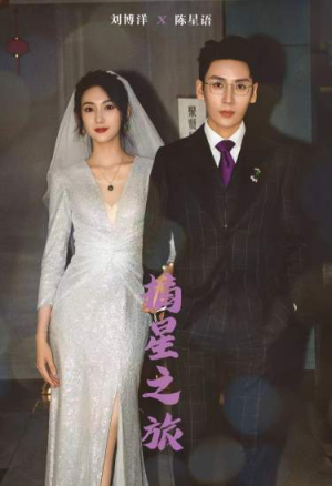 摘星之旅（88集）精彩短剧分享。