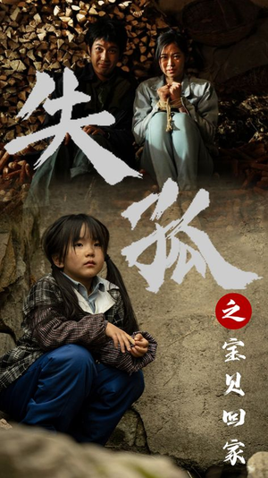 失孤之宝贝回家(71集) 失孤之宝贝回家(71集)在哪里可以全集