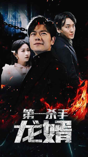 第一杀手龙婿（100集）不用花钱看全剧