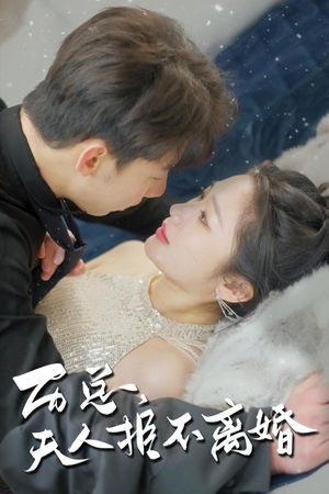 历总，夫人拒不离婚（61集）短剧全集大结局