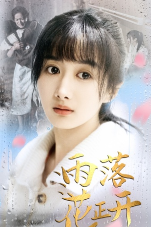 雨落花正开（62集）80到100集