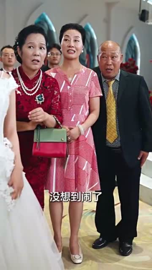 父亲二婚小妈在婚礼现场捉奸（34集）男主角是谁