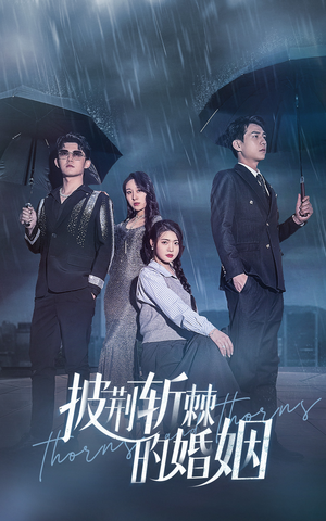 披荆斩棘的婚姻(70集) 披荆斩棘的婚姻(70集)追短剧看全集