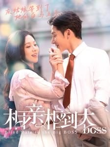 相亲相到大boss（101集）短剧在哪里看