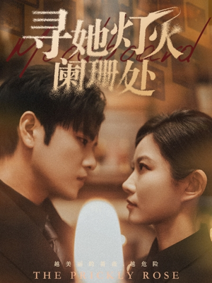 寻她灯火阑珊处（61集）口碑之选免费看