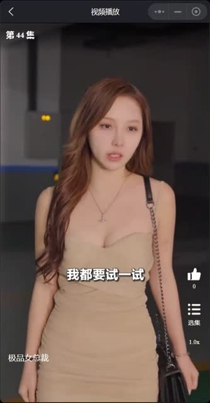 我的富豪美女总裁（我的极品女总裁）在线播放