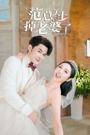 范总天上掉老婆了（78集）全集完整版