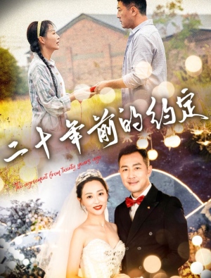 二十年前的约定（57集）精彩短剧下载