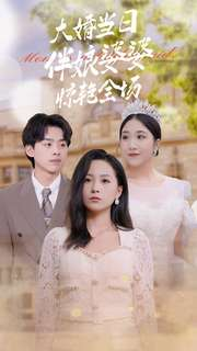 大婚当日伴娘婆婆惊艳全场（30集）短剧精彩推荐