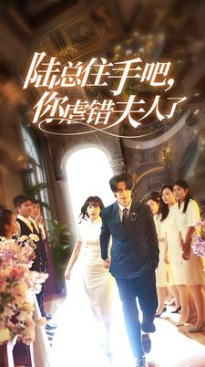 陆总住手吧，你虐错夫人了（80集）去哪里看