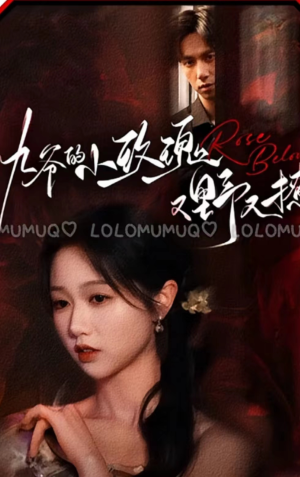 九爷的小玫瑰又野又撩（100集）精彩短剧看全集