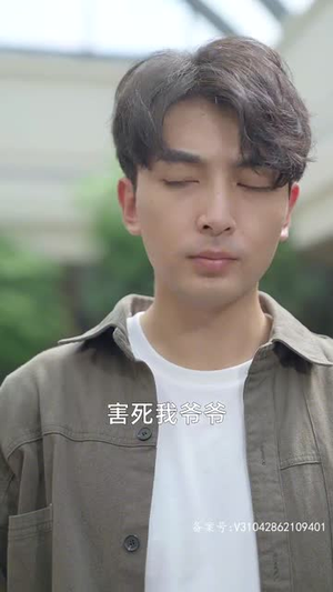 女总裁的上门女婿（104集）在线免费观看