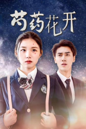 芍药花开（77集）河马免费短剧