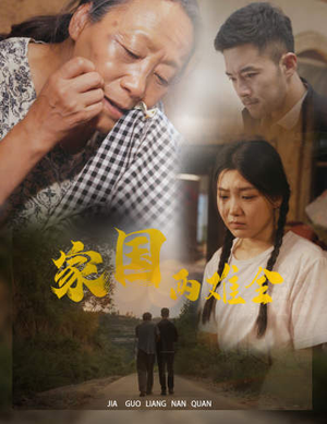 家国两难全（62集）高分佳作免费看