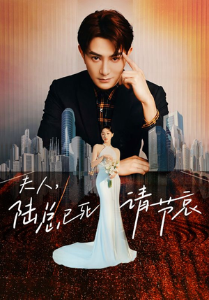 夫人，陆总已死请节哀（95集）好看上头的短剧