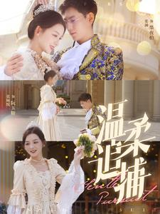 温柔追捕（89集）好看上头的短剧