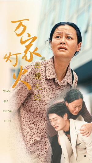 万家灯火之母爱无边（40集）短剧介绍