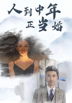 人到中年正当婚（81集）迅雷网盘观看