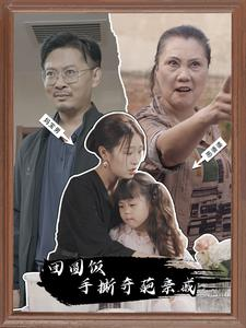 团圆饭手撕奇葩亲戚（40集）一起追短剧吧