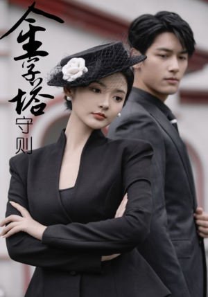 金字塔守则（66集）在线免费观看