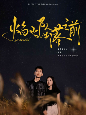 焰火坠落之前（99集）爆款短剧推荐