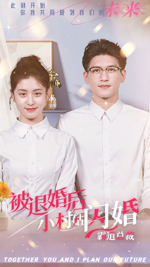 被退婚后，小村姑闪婚霸道总裁（36集）百度网盘资源