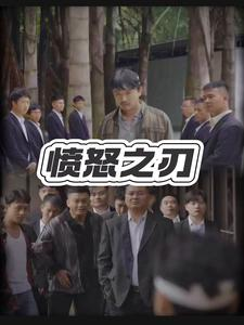 愤怒之刃(35集) 愤怒之刃(35集)全集我都看完了