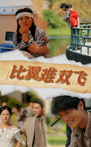 比翼难双飞（30集）一个短剧看全集