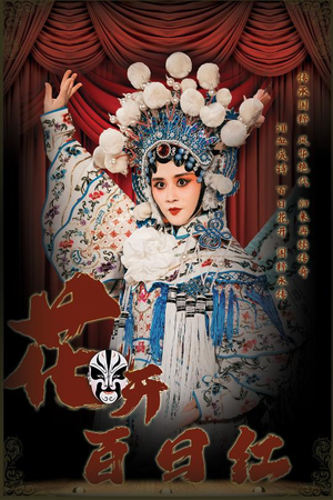 花开百日红（30集）短剧视频分享