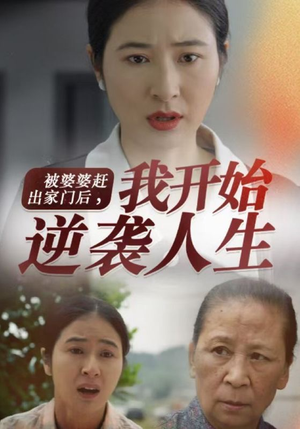 被婆婆赶出家门后我开始逆袭人生（83集）精彩短剧追不停