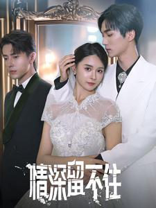 情深留不住（80集）热门短剧排行榜