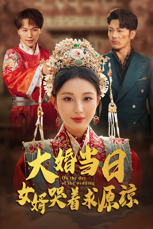 大婚当日，女婿哭着求原谅（31集）好看的短剧