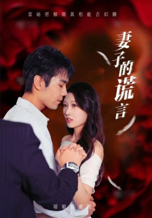 妻子的谎言（41集）热门短剧大全