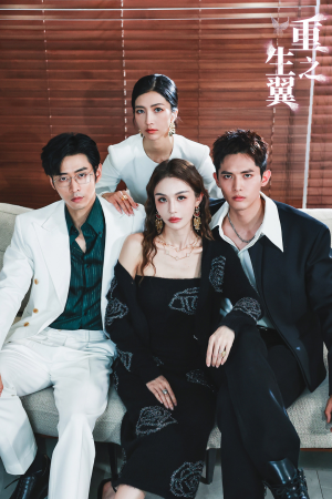 重生之翼（56集）第一集