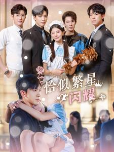 恰似繁星闪耀（74集）热播古装短剧