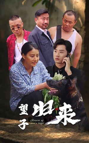 望子归来（50集）免费短剧看全集