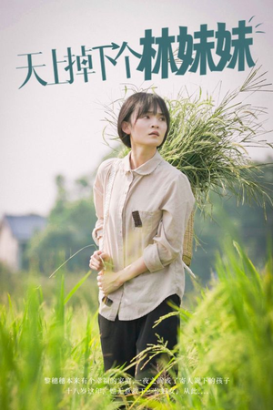 天上掉下个林妹妹（81集）一口气追完短剧
