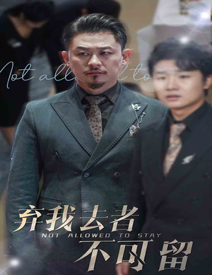 生命它璀璨如歌（60集）我全都看完了