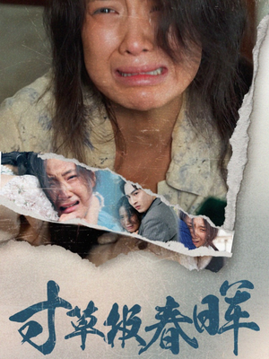 寸草报春晖（65集）免费在线看