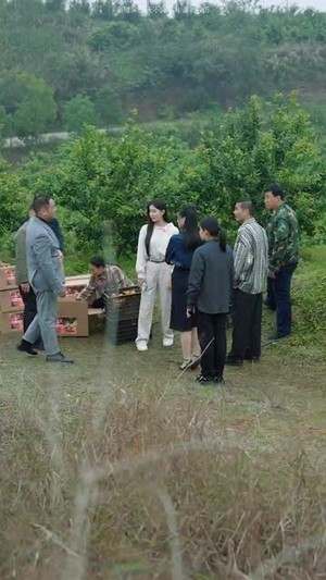 我本真心换薄情（49集）流畅播放免费看