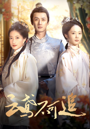 云鸢不可追（42集）最热短剧抢先看