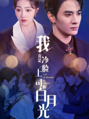 我竟是冷脸上司的白月光（80集）第二季