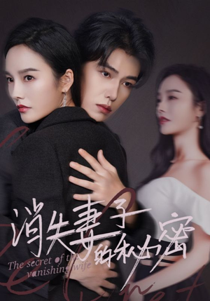 消失妻子的秘密（60）免费看全网短剧