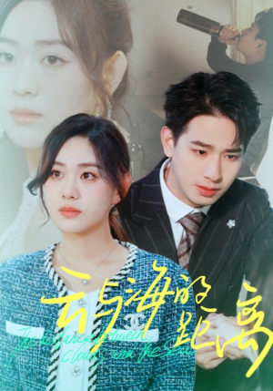 云与海的距离(34集) 云与海的距离(34集)演的怎么样