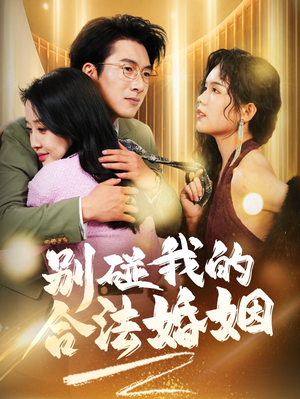 别碰我的合法婚姻（30集）免费看全集